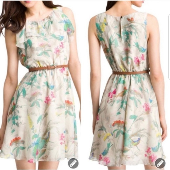 Ted Baker Timoxa Printed Ruffle Dress Ted size 4 or US 10 - Picture 1 of 8